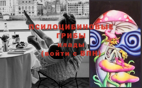мескалин Елизово