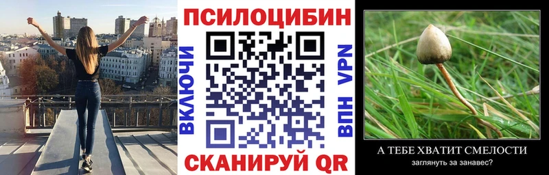 где купить наркоту  Долгопрудный  Галлюциногенные грибы прущие грибы 